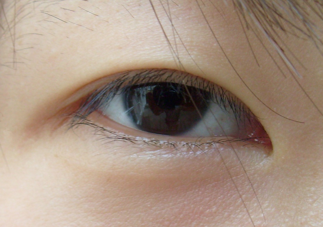 Por que os japoneses tem olhos puxados?