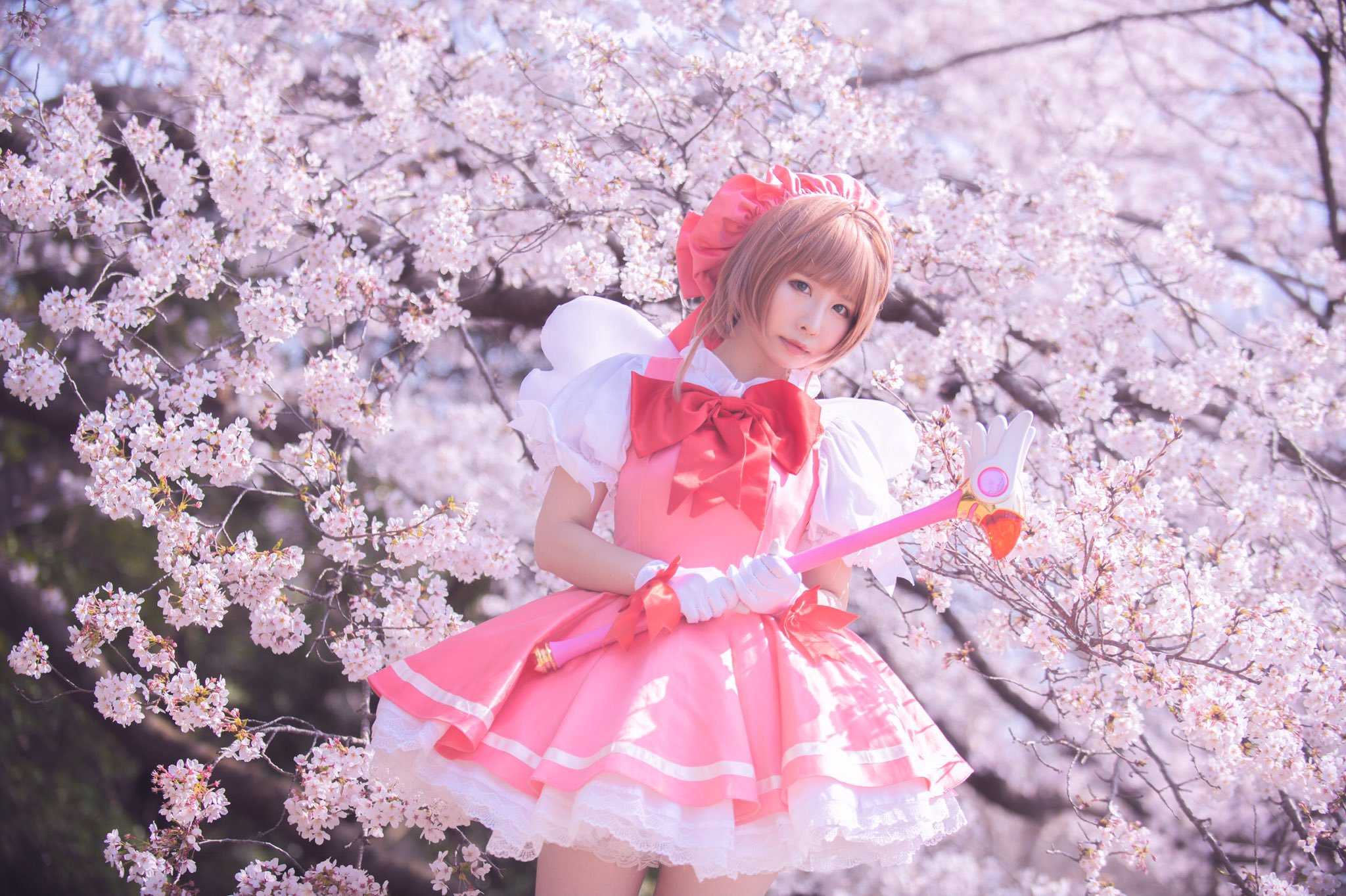 Japonesa entra para o Livro dos Recordes por ter a maior coleção de Sakura Card Captor