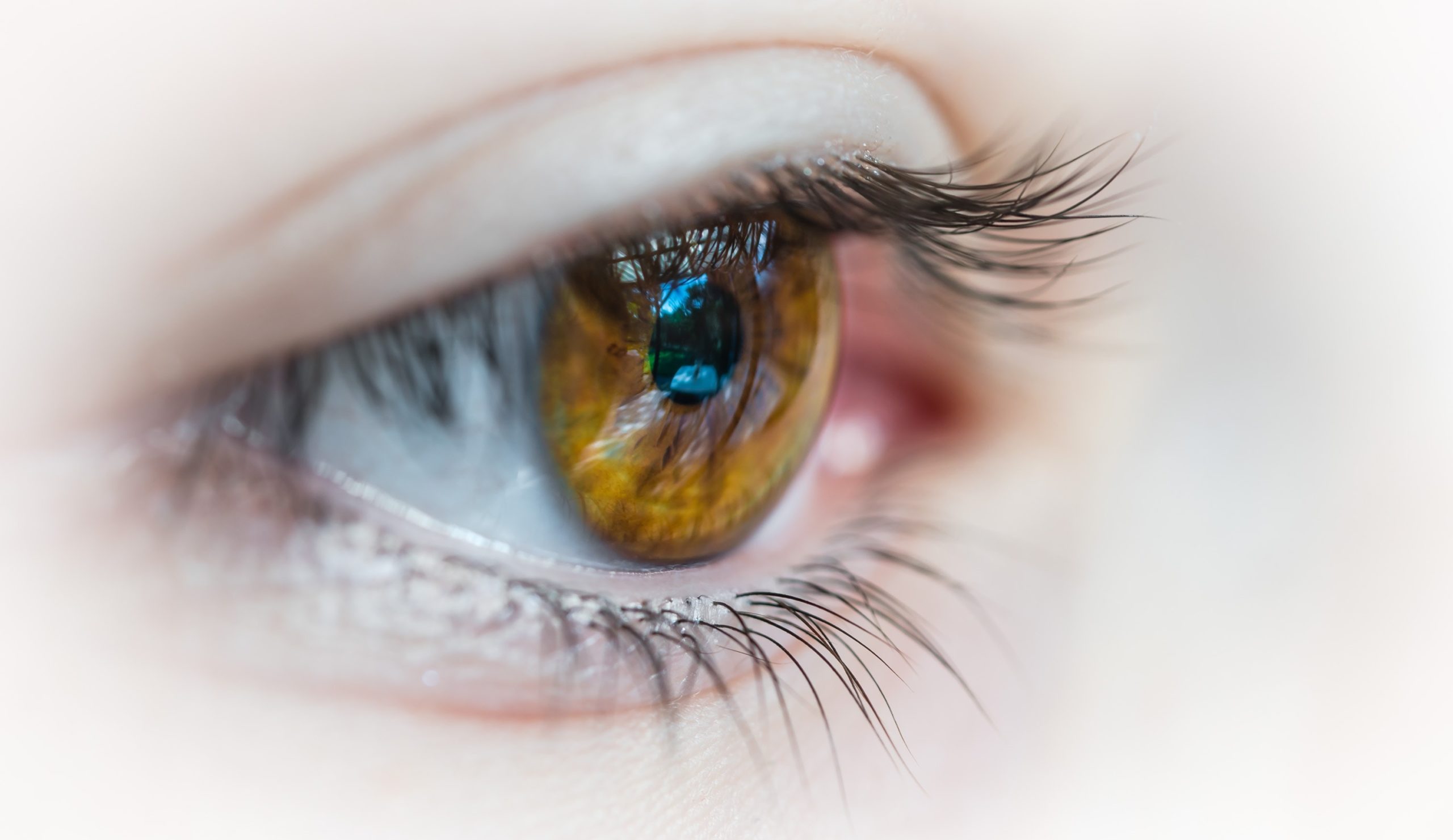 7 dicas importantes para melhorar a saúde dos olhos