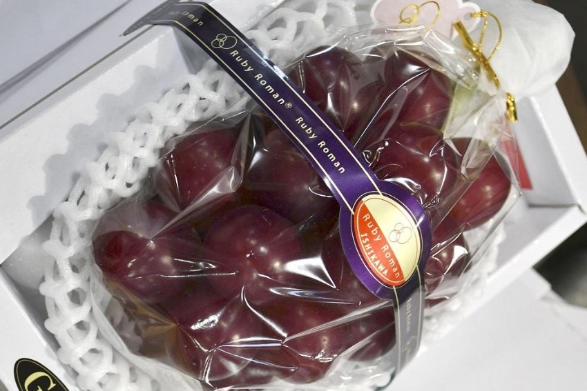 Cacho de uvas-rubi é leiloado por US$ 11 mil no Japão