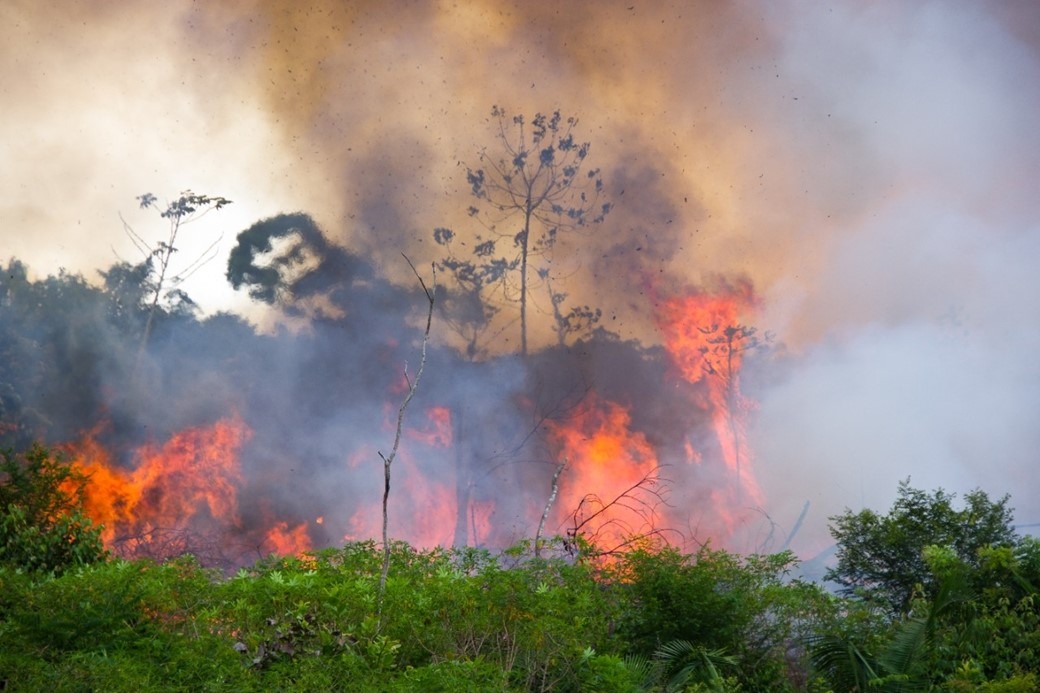 Relatórios podem estar subestimando impacto de incêndios na Amazônia