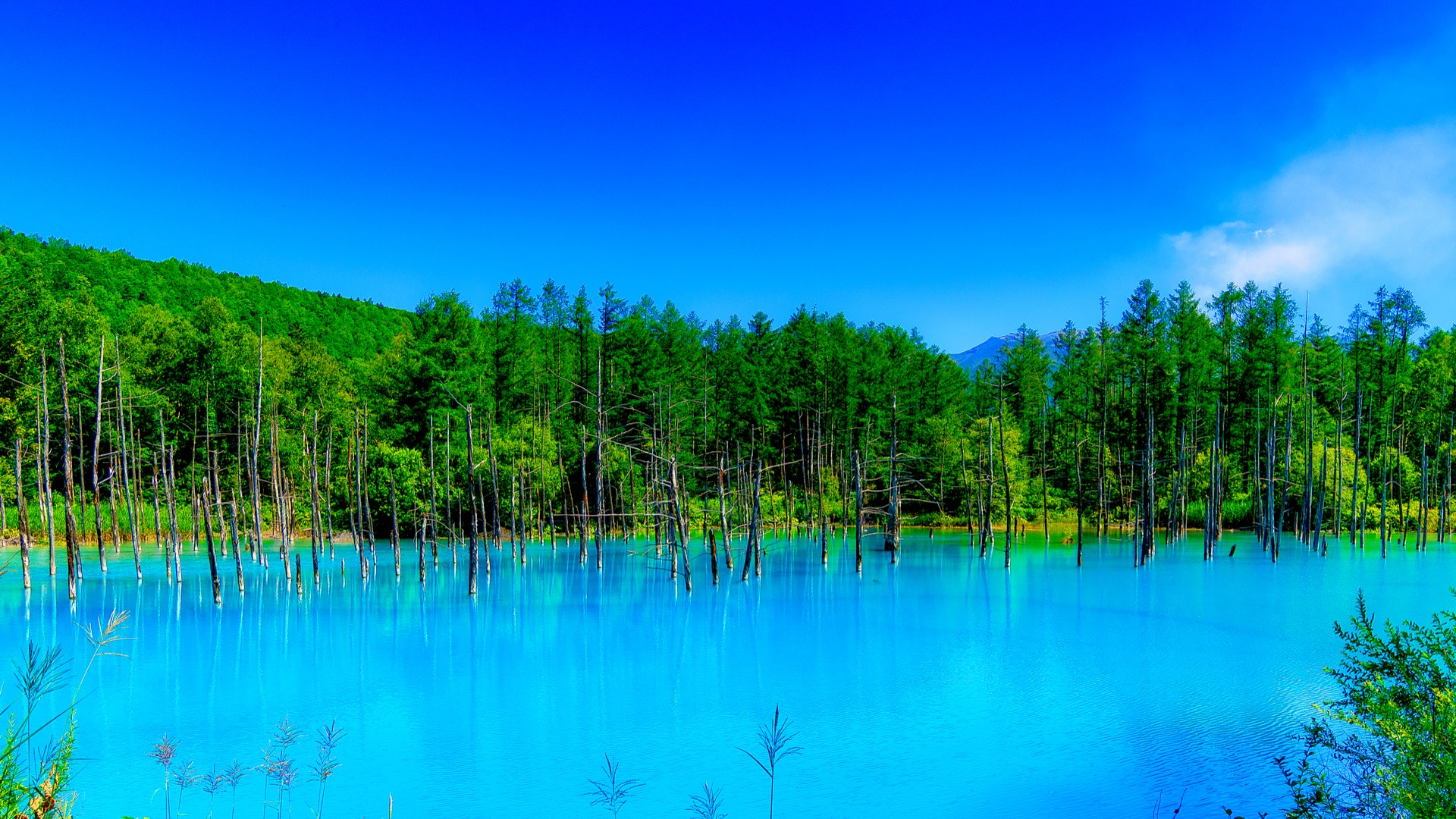 Aoike, a incrível lagoa azul de Hokkaido