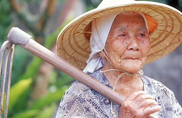 Hakusai Shosho, homenagem aos centenários japoneses