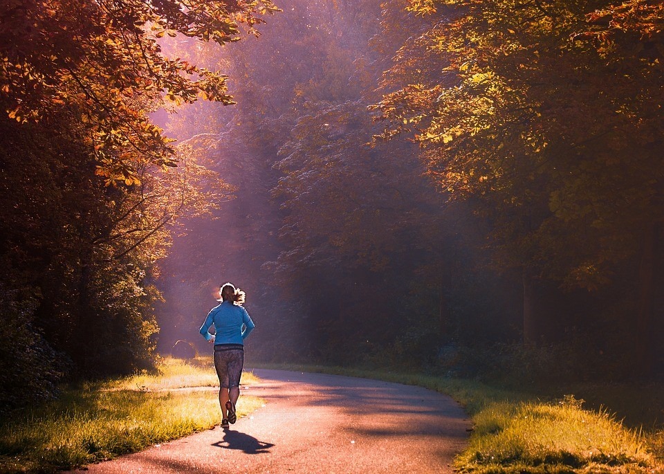 Saiba o motivo do seu cérebro precisar de exercícios