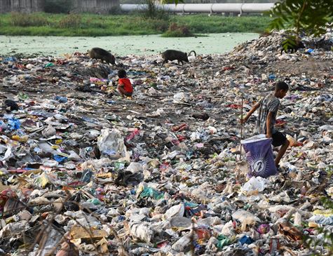 Sacolas de compras que não poluem os oceanos serão vendidas no Japão
