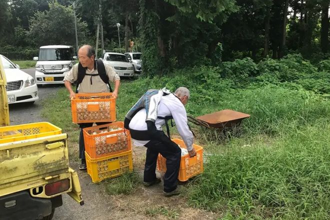 Idosos japoneses usam exoesqueletos para continuar no mercado de trabalho