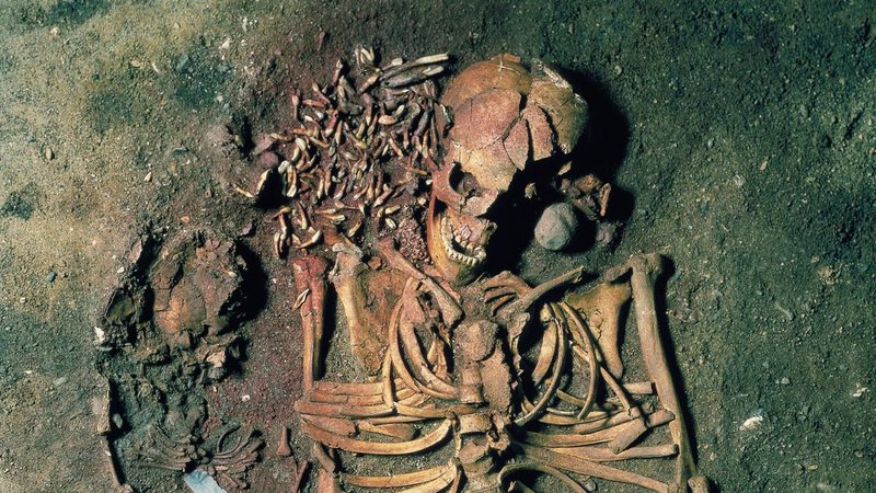 Esqueleto de combatente japonês da Segunda Guerra, encontrado na Califórnia, revela história curiosa