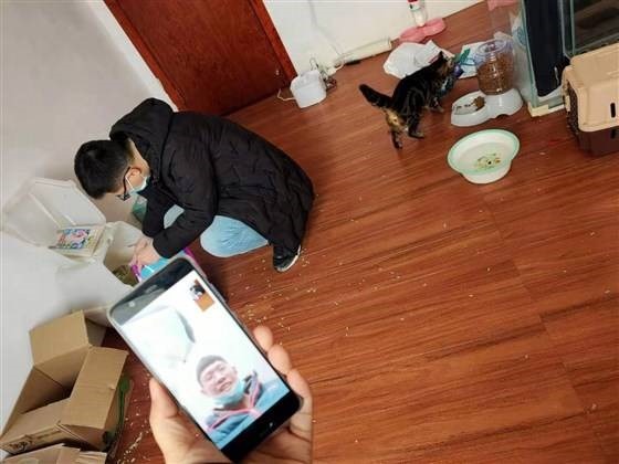 Coronavírus: brigada em Wuhan resgata animais abandonados