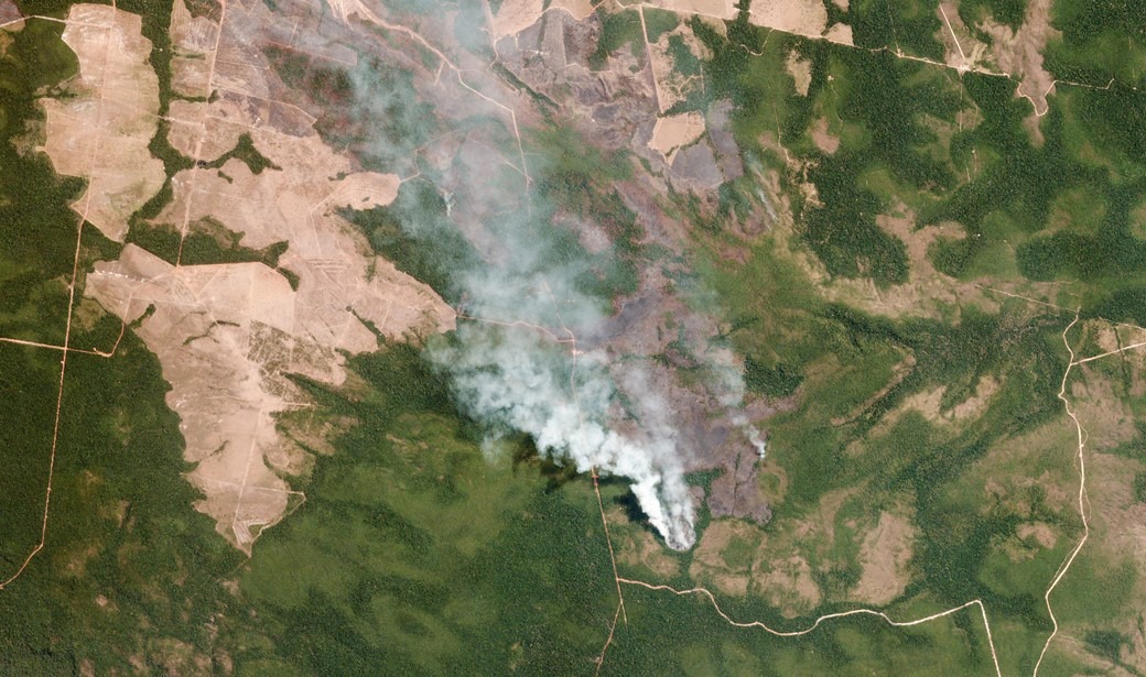 Perto de 20% da floresta amazônica libera mais CO2 do que absorve