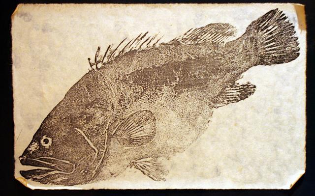 Como gravuras artesanais contam a história da vida marinha japonesa