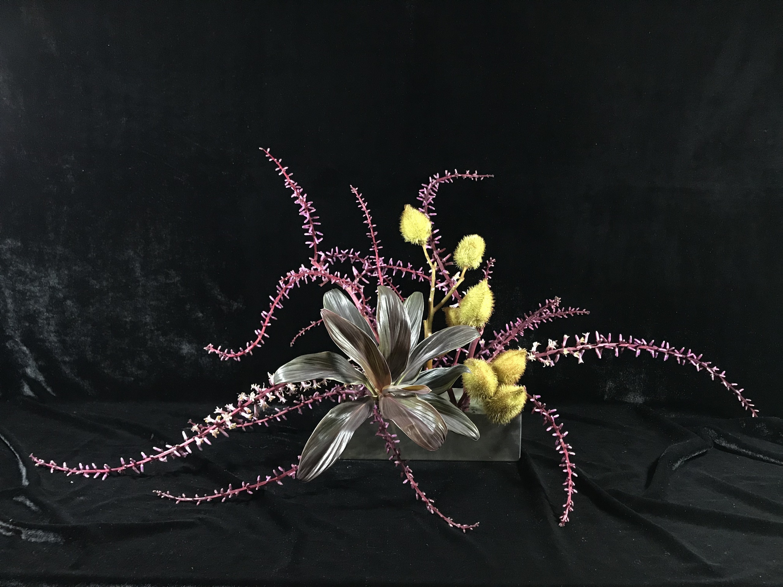 Kokuga. O minimalismo aplicado às flores