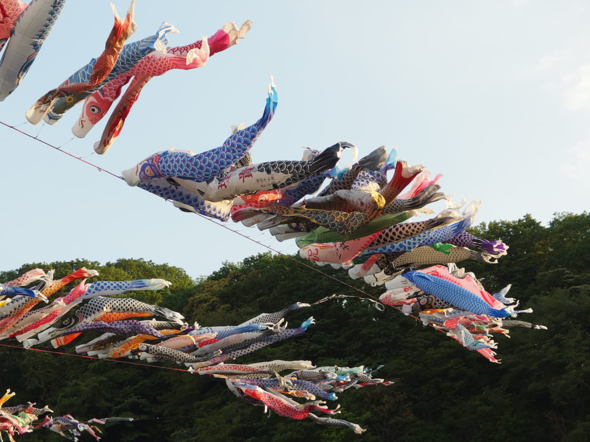 Conheça o Japão: Koinobori
