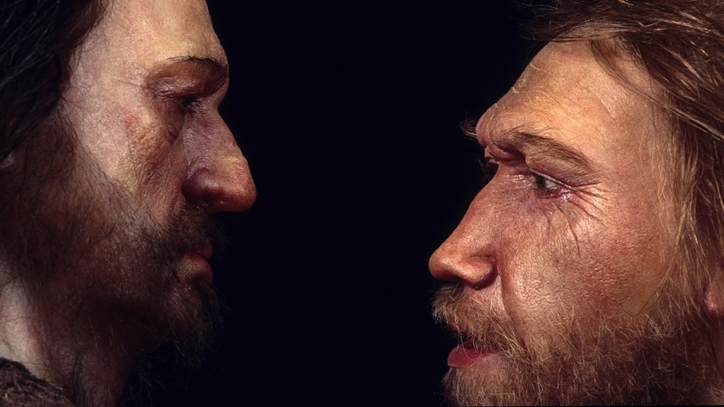Supercomputador revela por que Neandertais foram extintos