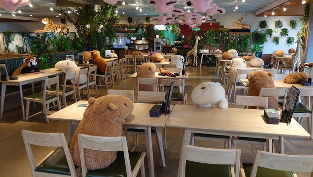 Café em zoológico japonês usa capivaras de pelúcia para garantir distanciamento