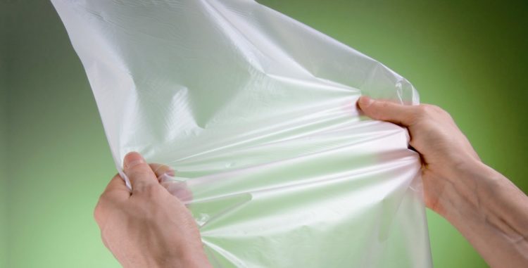 Empresa japonesa produz bioplástico à base de plantas que se decompõe em quatro anos