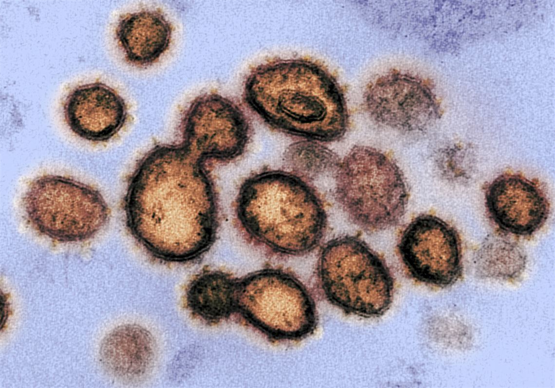 Japão confirma 958 casos de COVID-19 na segunda-feira