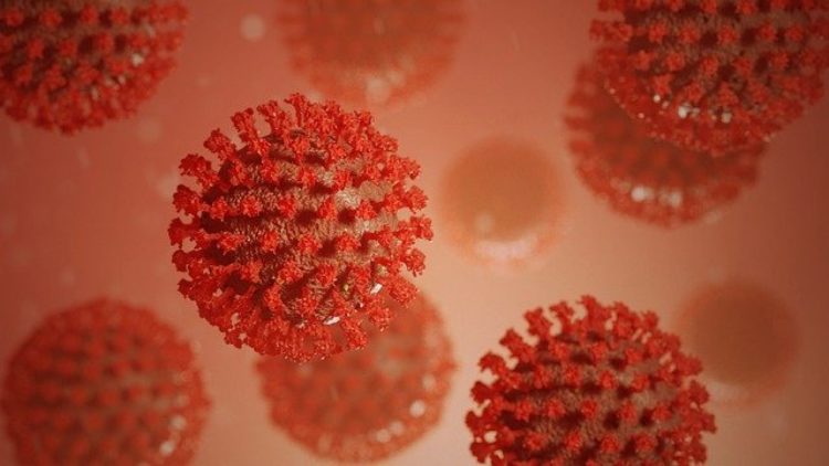 Japão confirma 1.176 casos de COVID-19 na quinta-feira