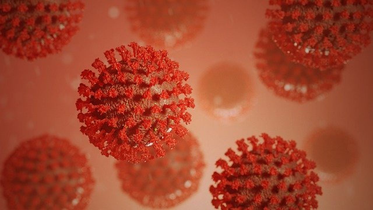 Japão confirma 1.176 casos de COVID-19 na quinta-feira