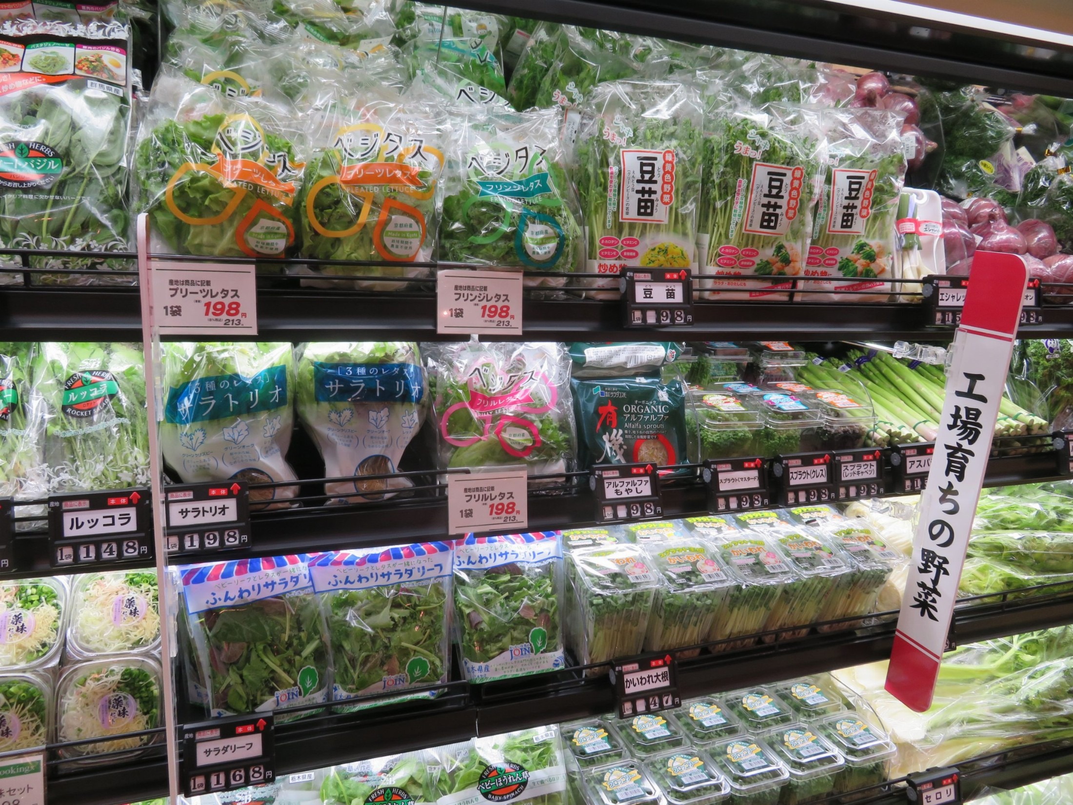 Preço dos legumes no Japão volta a média anual