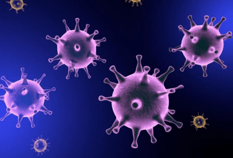 Japão registra 401 casos de COVID-19 no domingo