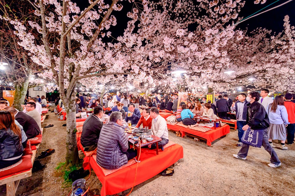 A famosa iluminação da flor de cerejeira no parque de Kyoto foi cancelada devido ao coronavírus