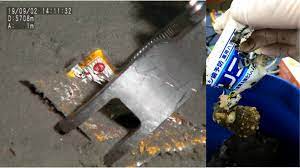 Saco plástico e tubo de pasta de dente de 1984 são encontrados na península de Boso, em Chiba