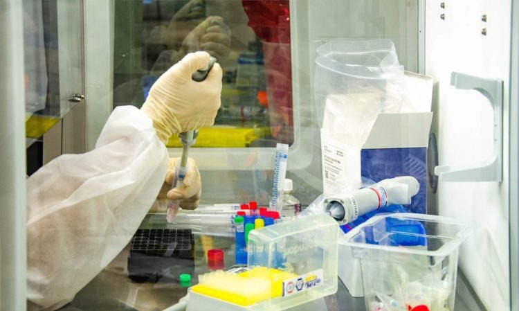 Cientistas japoneses desenvolve teste capaz de detectar diferentes variantes do coronavírus