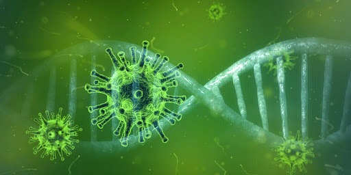 Estudos indica que os sintomas da Covid-19 persistem meses após contágio