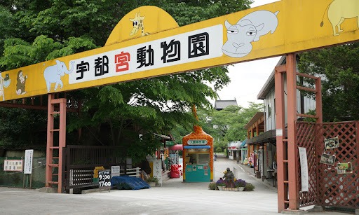 Zoológico oferece frutas congeladas para refrescar animais em meio a verão escaldante do Japão