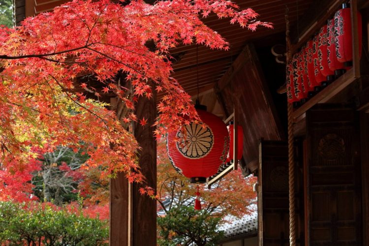 Folhagens de outono atrai turistas a Kyoto
