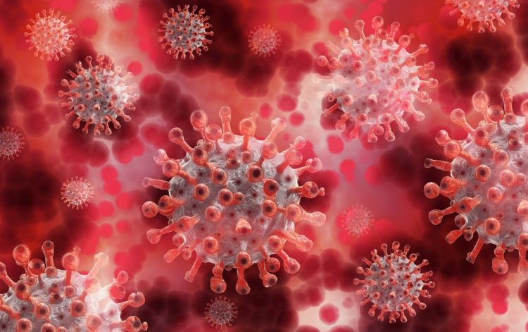 Japão retoma as restrições em fronteira em tentativa de conter nova variante ômicron