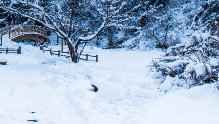 Estudante japonesa não aguentava mais o bullying e se mata congelada na neve
