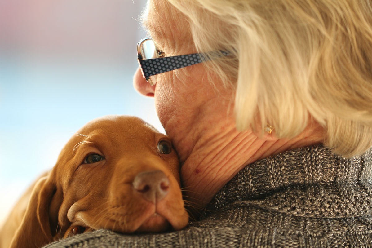 Pesquisa comprova que tutores de cachorros têm riscos menores de deficiências na velhice