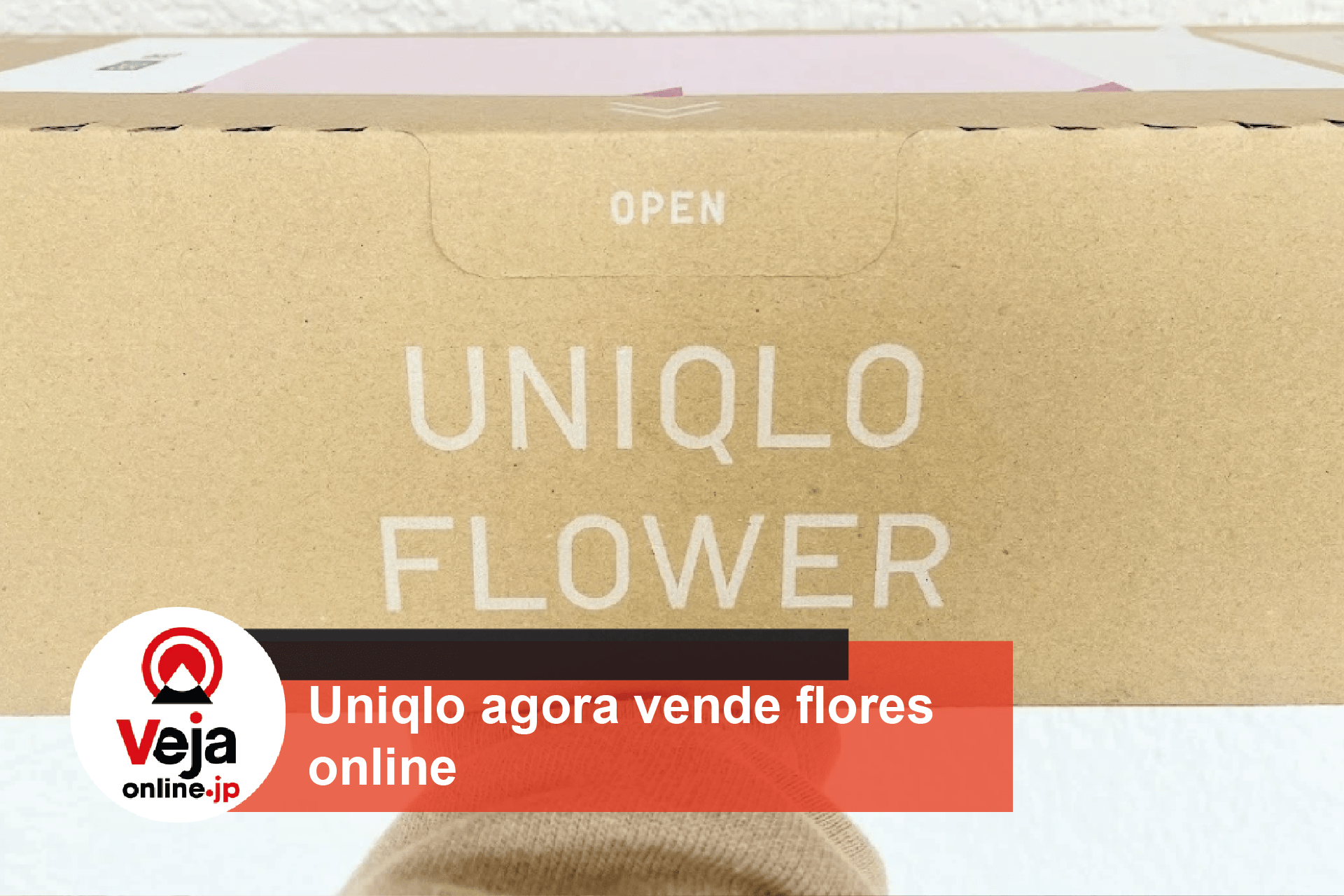 Lojas de roupas Uniqlo lança vendas de flores online