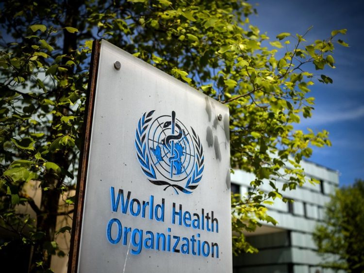 OMS comunica primeiro caso de morte humana por gripe aviária H3N8