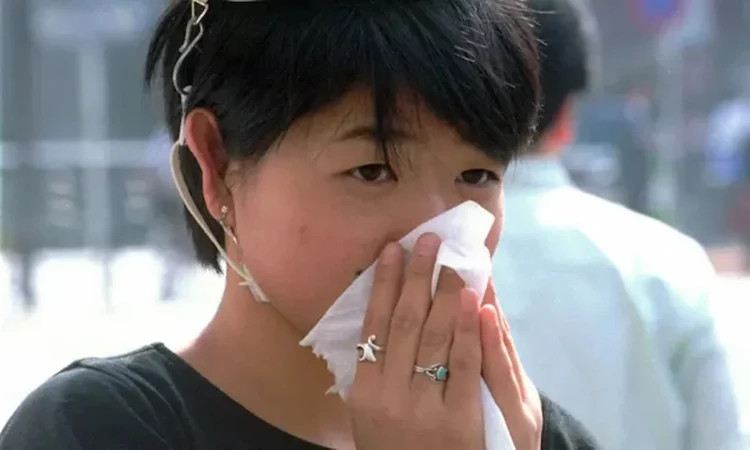 Japão elabora projeto de redução de pólen para diminuir casos de alergia
