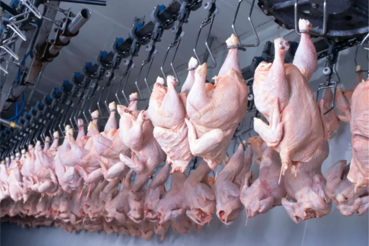 Japão suspende importações de carne de frango do Espírito Santo