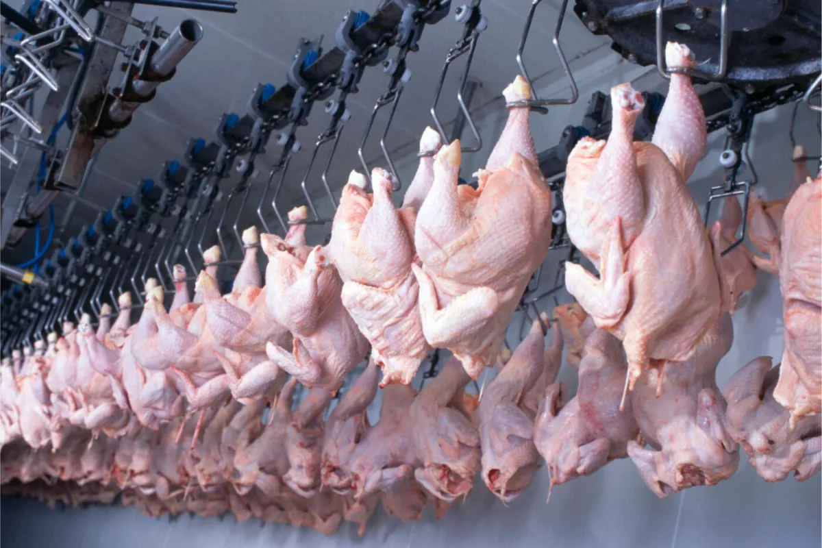 Japão suspende importações de carne de frango do Espírito Santo