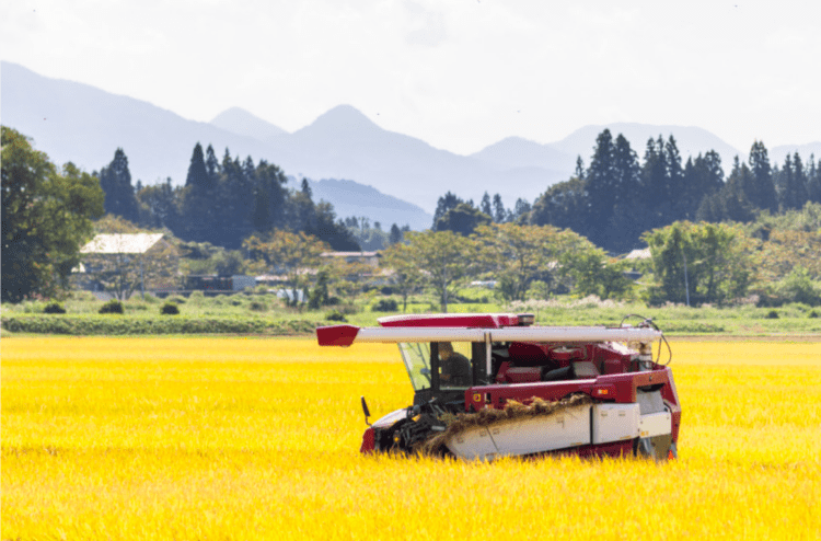 Japão pretende aumentar as exportações de arroz em 7 vezes até 2030