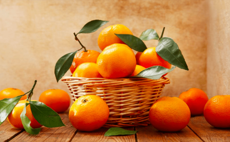 Tangerinas Mikan registram o maior preço em 5 anos no Japão