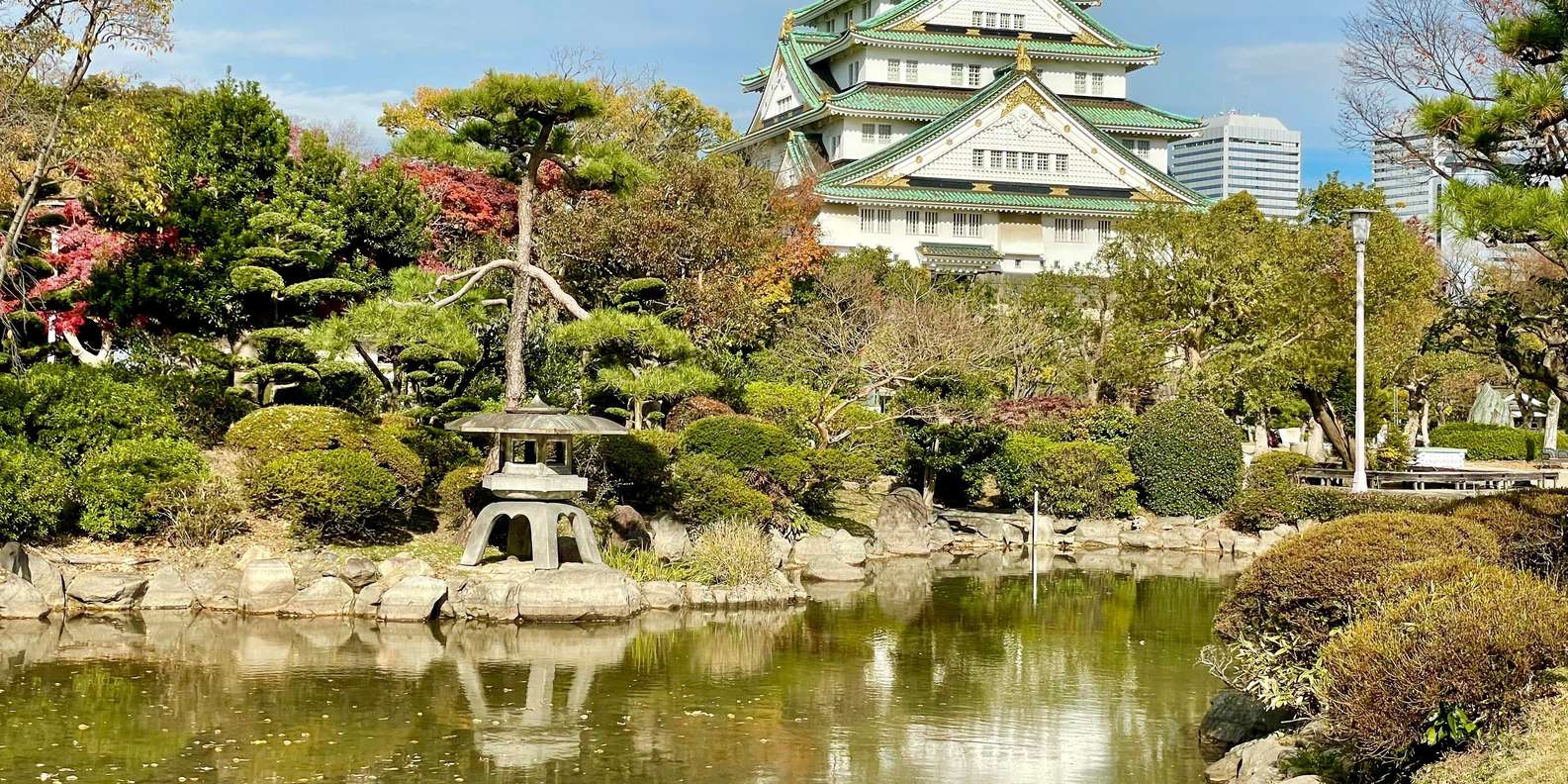 Morte em massa de peixes no fosso do Castelo de Osaka