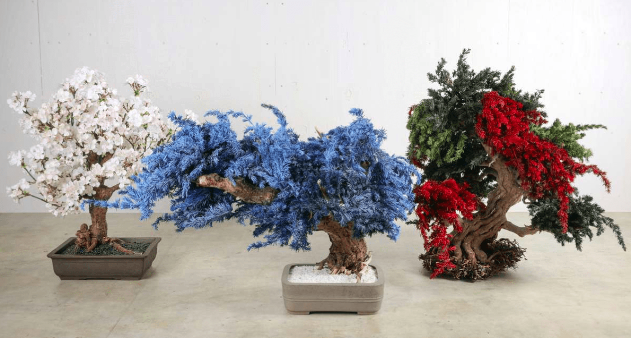 Artista reinventa árvores mortas com “bonsai seco” e conquista o mundo