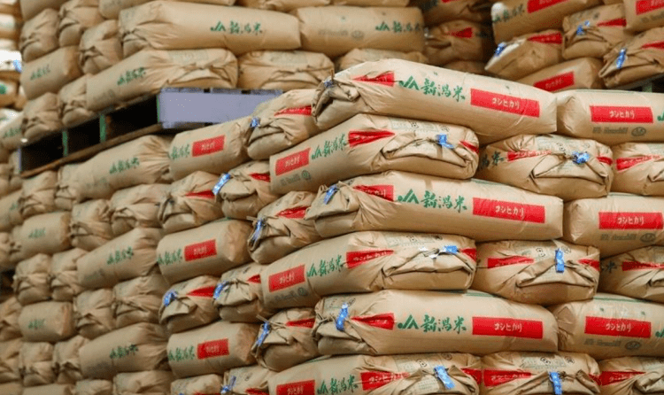 Governo japonês admite erros na gestão da crise do arroz e reconhece demora na liberação de estoques
