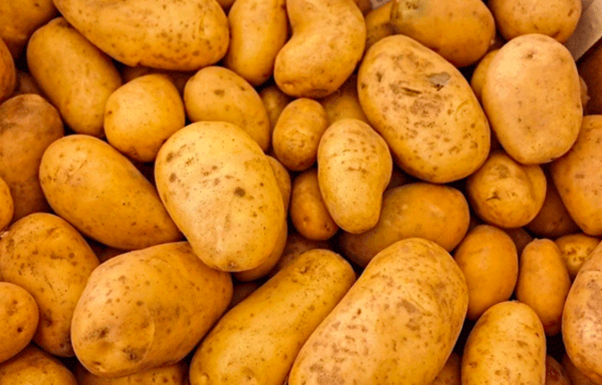 Japão avalia abrir mercado para batatas frescas dos EUA, mas produtores demonstram preocupação