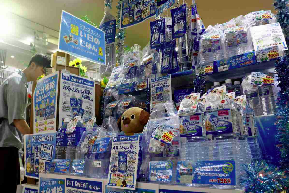 Calor extremo impulsiona novos produtos para proteger cães e gatos no Japão